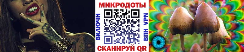 Галлюциногенные грибы MAGIC MUSHROOMS  как найти   Арсеньев 